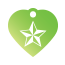 Punk Nautical Star Pet Tags