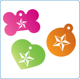 Punk Nautical Star Pet Tags