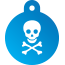 Punk Pirate Skull Pet Tags