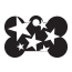 Punk Star Burst Pet Tags