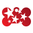 Punk Star Burst Pet Tags