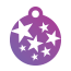 Punk Star Burst Pet Tags