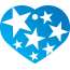 Punk Star Burst Pet Tags
