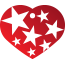 Punk Star Burst Pet Tags