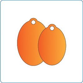 Oval Shaped Pet Tags